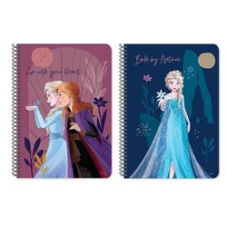 SPIRAL NOTEBOOK 17X25 2SUBS 60SH FROZEN 2DESIGNS.