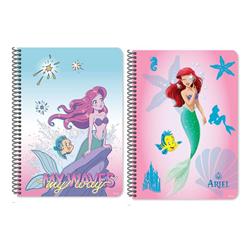 SPIRAL NOTEBOOK 17X25 2SUBS 60SH  ARIEL 2DESIGNS