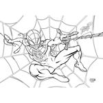 PAINTING BLOCK SPIDER-MAN 23X33 40SH STICKERS-STENCIL-2 COLORING PG with 2DESIGNS.