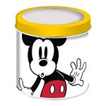 ΡΟΛΟΙ ΣΕ ΜΕΤΑΛΛΙΚΟ ΚΟΥΤΙ  MICKEY