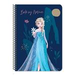 SPIRAL NOTEBOOK 17X25 2SUBS 60SH FROZEN 2DESIGNS.