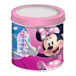 ΡΟΛΟΙ ΣΕ ΜΕΤΑΛΛΙΚΟ ΚΟΥΤΙ  MINNIE