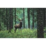 Puzzle 1000PcsDeer In The Forest Animal Planet Luna Toys 73x48cm.