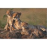 Puzzle 1000Pcs Cheetah Family Animal Planet  Luna Toys 73x48cm.