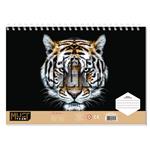 PAINTING BLOCK 23X33CM 40SH MUST TEAM STICKERS-STENCIL-2 COLORING PG  2DESIGNS JUNGLE