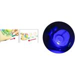STRING WIND UP SNAIL 10X8,5CM 4COL LUNA