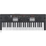 HARMONIUM OF 49 KEYS WITH MICROPHONE AND USB 60,5X8X22CM LUNA