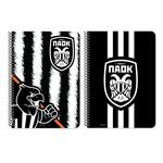 ΤΕΤΡΑΔΙΟ ΣΠΙΡΑΛ 17Χ25 2ΘΕΜ 60Φ  ΠΑΟΚ  2ΣΧ.